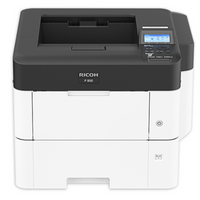 P 800 Black and White Laser Printer