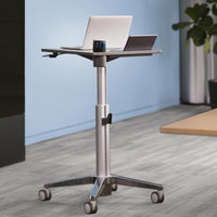 LearnFit Sit-Stand Table