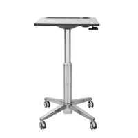 LearnFit Sit-Stand Table